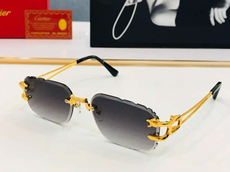 Picture of Cartier Sunglasses _SKUfw55116851fw